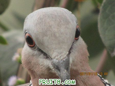 IMG_7257.JPG