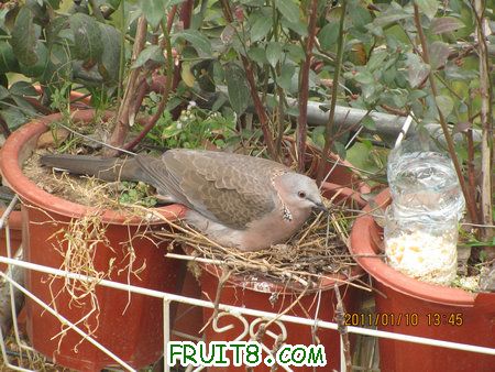 IMG_7262.JPG