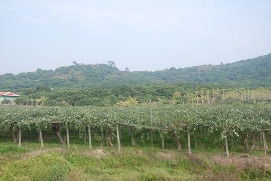 Ƭ 072_resize.jpg