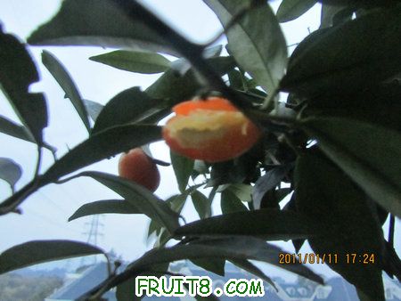 IMG_7367.JPG