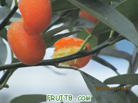 IMG_7356.JPG