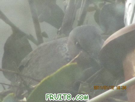 IMG_7438.JPG