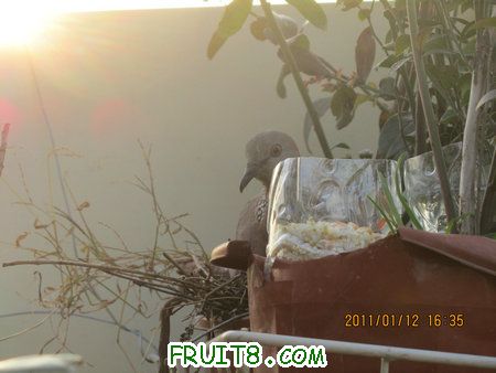 IMG_7439.JPG