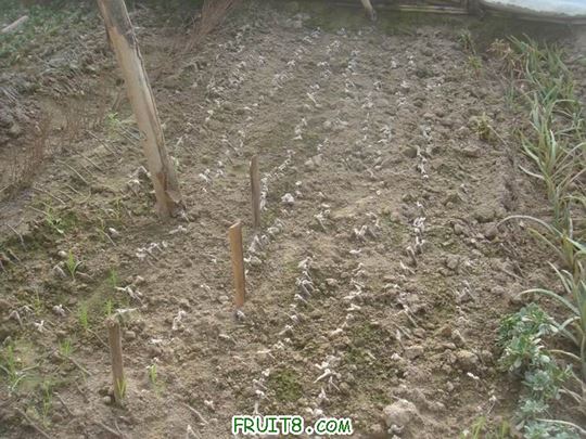 Resize of DSC04602.JPG