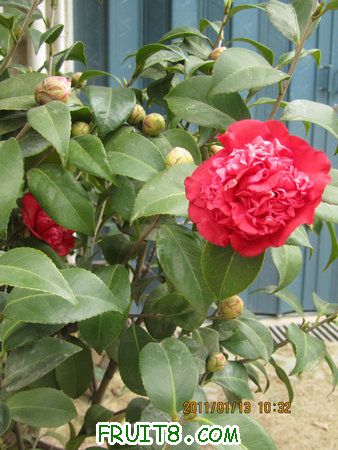 IMG_7582.JPG