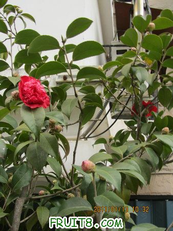 IMG_7584.JPG