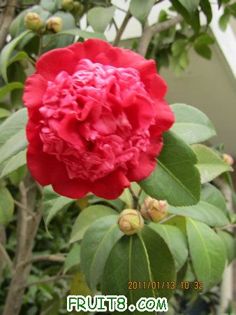 IMG_7583.JPG