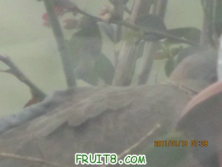IMG_7541.JPG