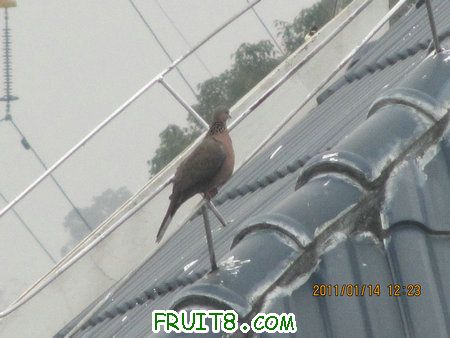 IMG_7672.JPG