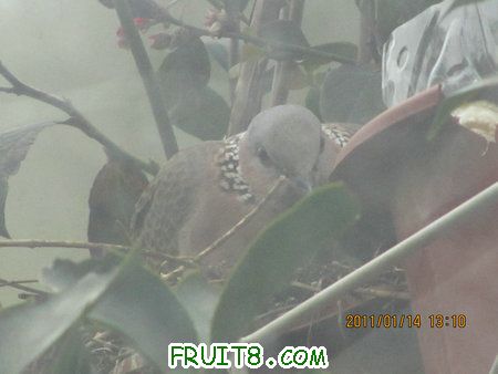 IMG_7678.JPG