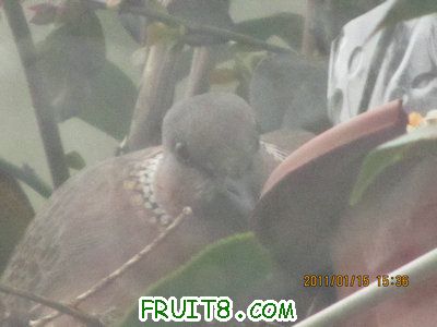 IMG_7703.JPG