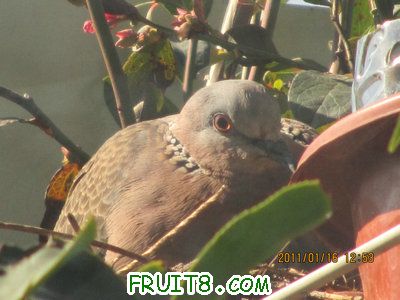 IMG_7712.JPG