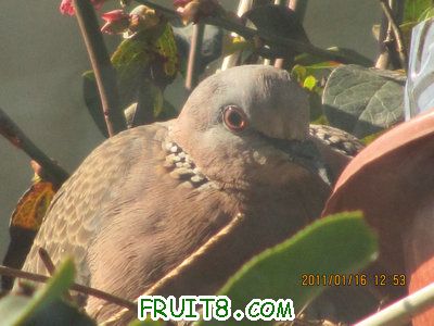 IMG_7713.JPG