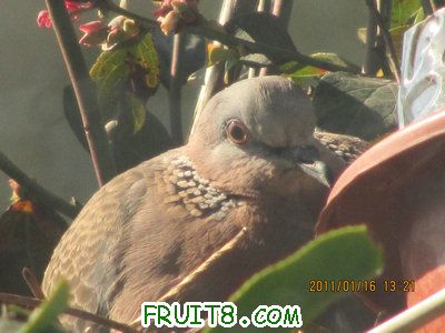 IMG_7715.JPG