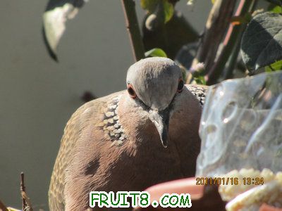 IMG_7718.JPG
