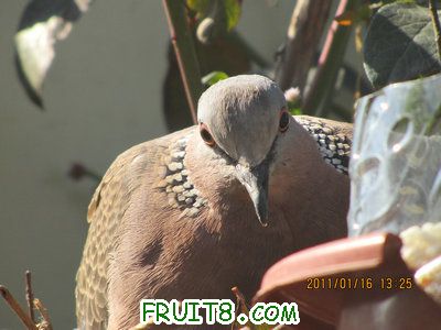 IMG_7721.JPG