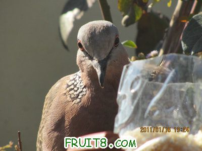 IMG_7717.JPG