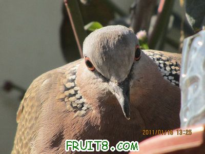IMG_7722.JPG