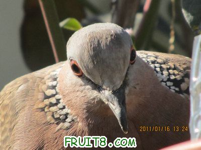 IMG_7720.JPG