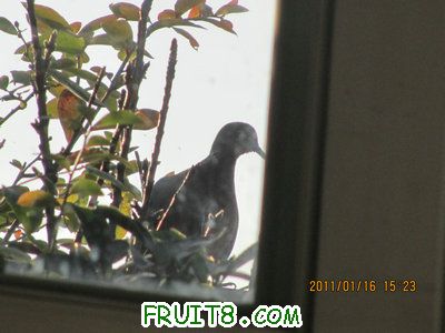 IMG_7799.JPG