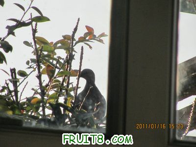 IMG_7798.JPG