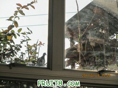 IMG_7801.JPG
