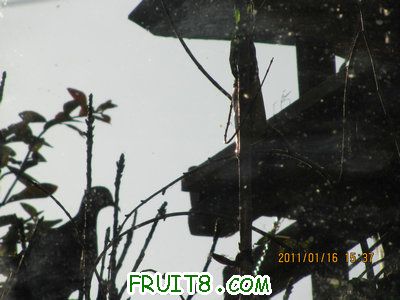 IMG_7823.JPG