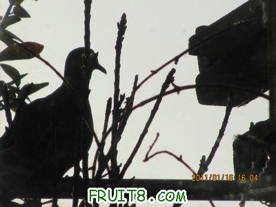 IMG_7838.JPG