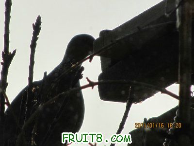 IMG_7841.JPG