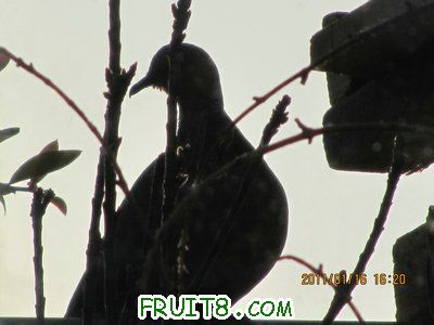 IMG_7843.JPG