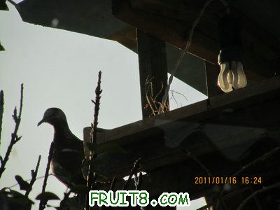 IMG_7850.JPG