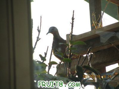 IMG_7851.JPG