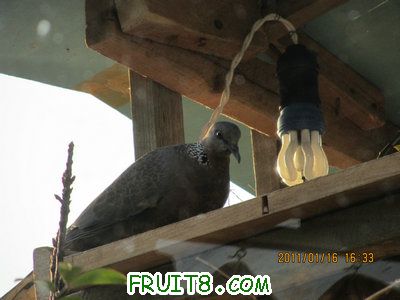 IMG_7855.JPG