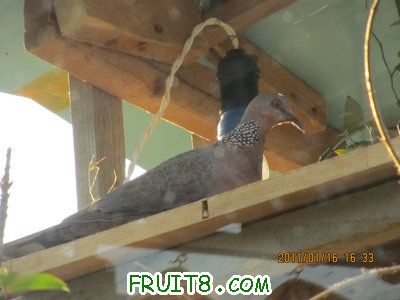 IMG_7857.JPG