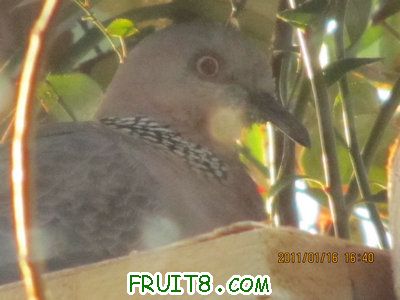 IMG_7869.JPG