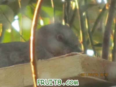 IMG_7871.JPG