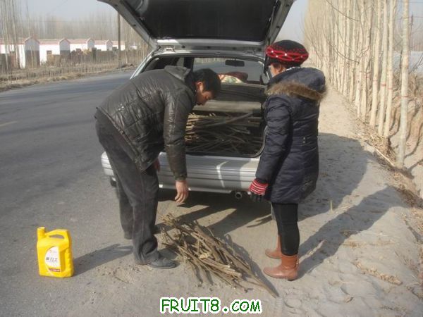 Resize of DSC04623.JPG