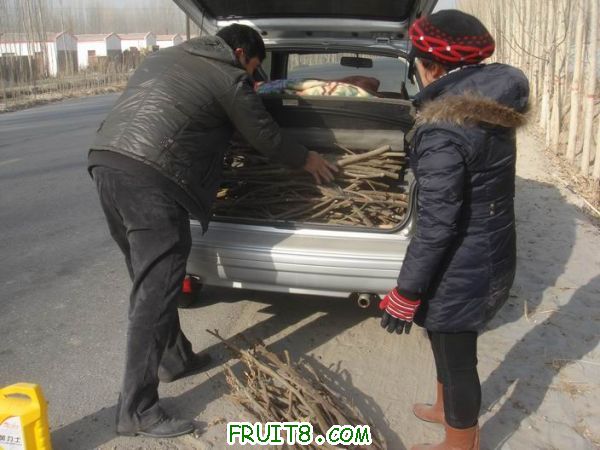 Resize of DSC04622.JPG