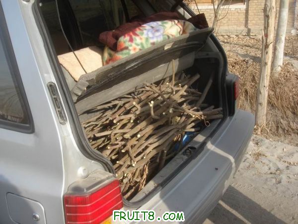 Resize of DSC04624.JPG