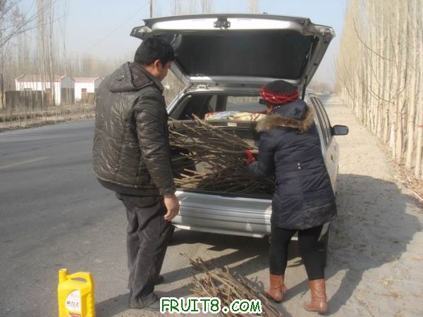 Resize of DSC04621.JPG