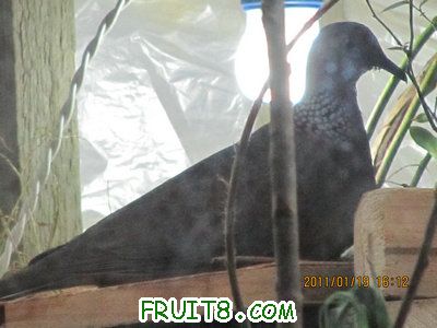 IMG_7989.JPG