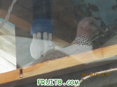 IMG_7991.JPG
