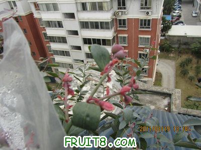 IMG_7940.JPG