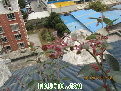 IMG_7938.JPG