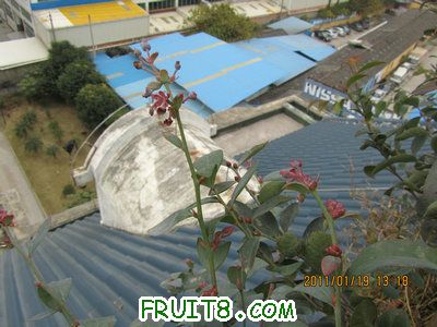 IMG_7939.JPG
