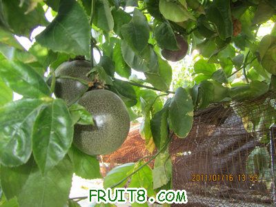 IMG_7758.JPG