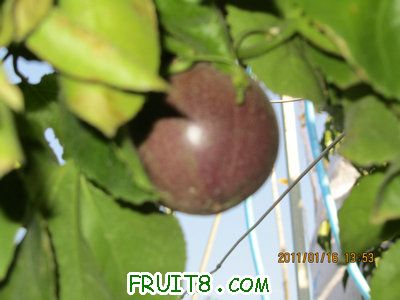 IMG_7761.JPG