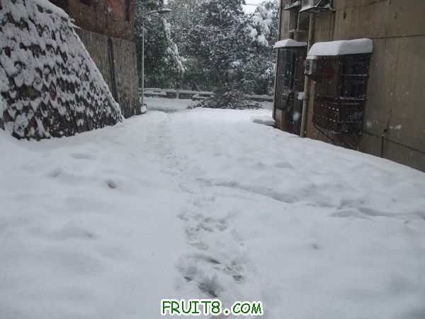 2011012002.JPG