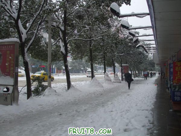 2011012005.JPG