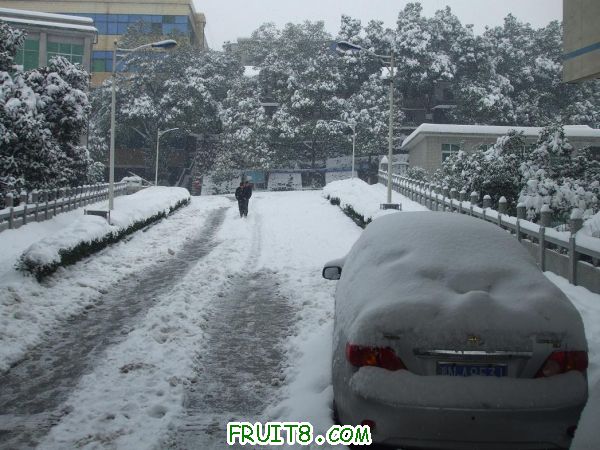 2011012008.JPG